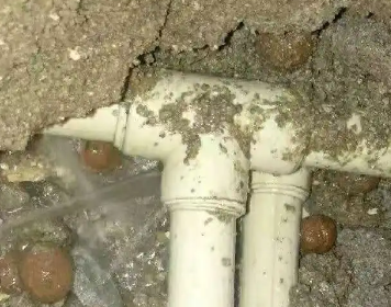 鲁甸测漏水多少钱