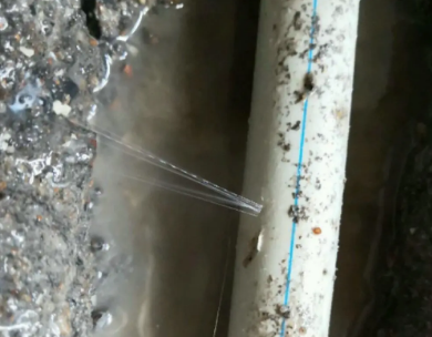 鲁甸测漏水哪家好