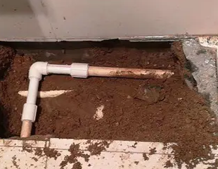 鲁甸测漏水哪家好