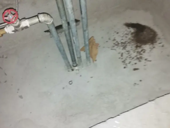 鲁甸卫生间测漏水价格明细