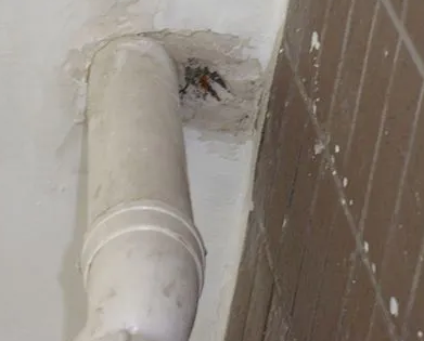 鲁甸漏水检测哪家好